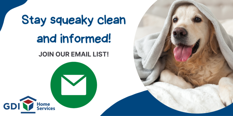 Stay Squeaky clean and informed, join our email list banner