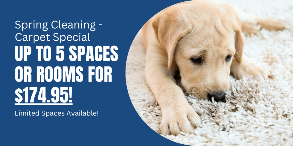 Carpet Special - Up to 5 Spaces or Rooms for $174.95