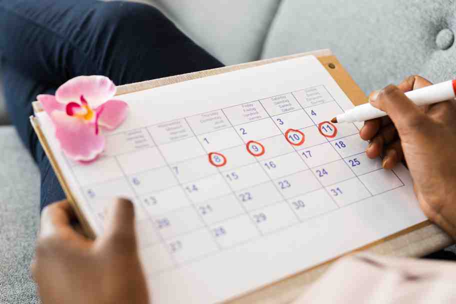 Home Cleaning - Monthly Cleaning Calendar